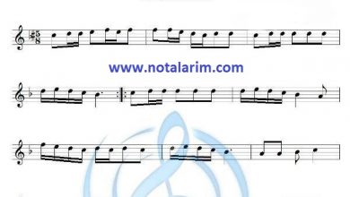 Divane-Asik-Gibi Notalari | Notalarim.com
