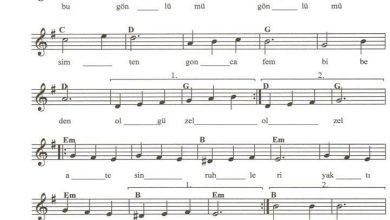gulnihal-notalari | Notalarim.com
