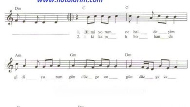 uzun-ince-bir-yoldayim-nota | Notalarim.com