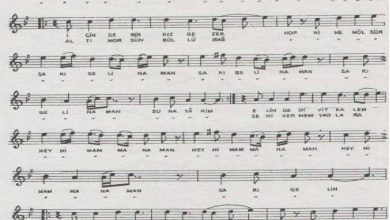 sari-gelin | Notalarim.com