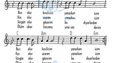 sevdan-bir-ates-notalari | Notalarim.com