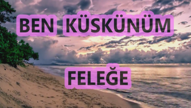 ben-kuskunum-felege | Notalarim.com