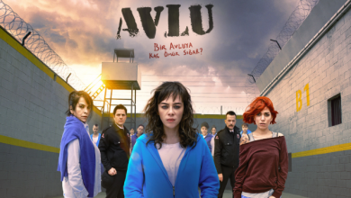 avlu-notalari | Notalarim.com