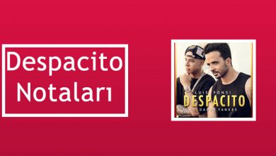 Photo of Despacito Notaları