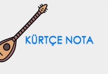 Photo of Şervano Notaları – Mehmûd Berazî