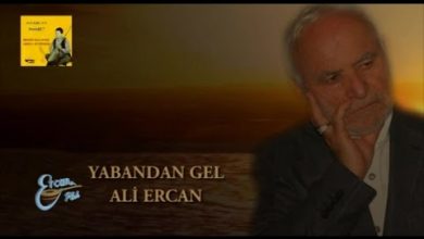 Photo of Yabandan Gel Bağlama Notaları