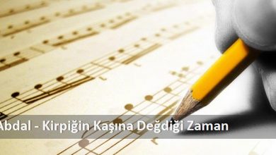 Photo of Kirpiğin Kaşınada Değdiği Zaman Bağlama Notaları