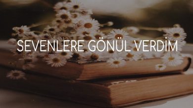 Photo of Sevenlere Gönül Verdim Bağlama Notaları