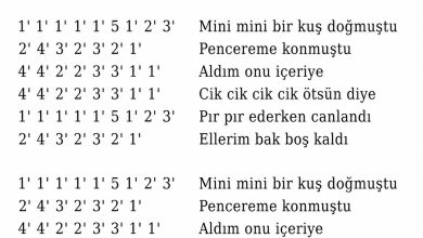 Photo of MİNİ MİNİ BİR KUŞ DOĞMUŞTU KALİMBA NOTALARI